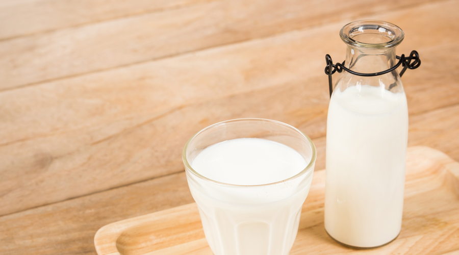 Sobre o leite de vaca: mitos e verdades