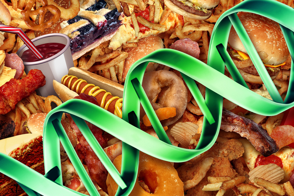 Genética, dieta e colesterol: por que não existe uma regra única – como cada corpo reage de um jeito ao que come.